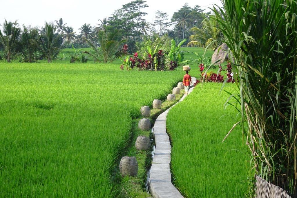 Mathis Retreat Ubud Exterior foto