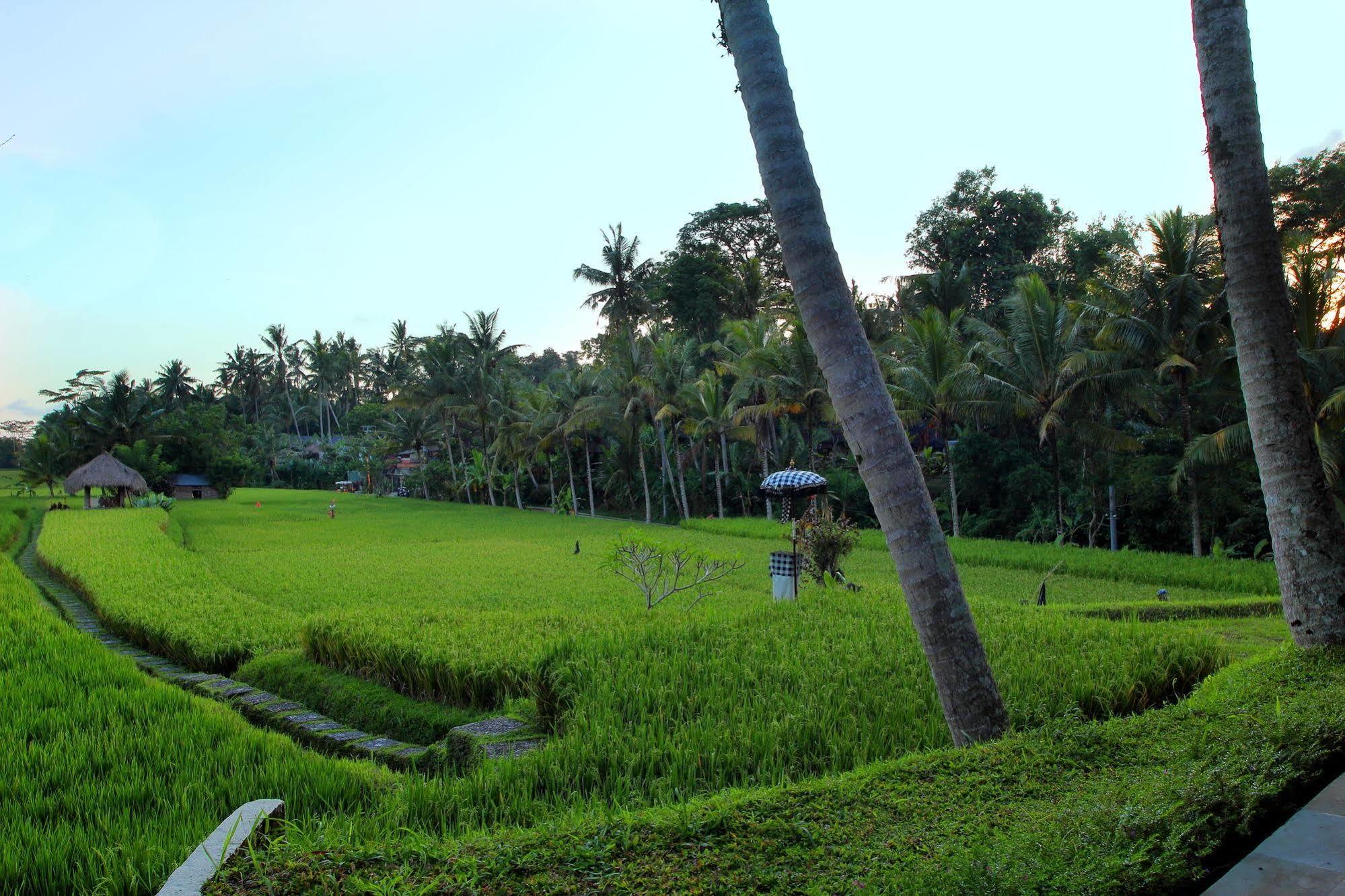 Mathis Retreat Ubud Exterior foto