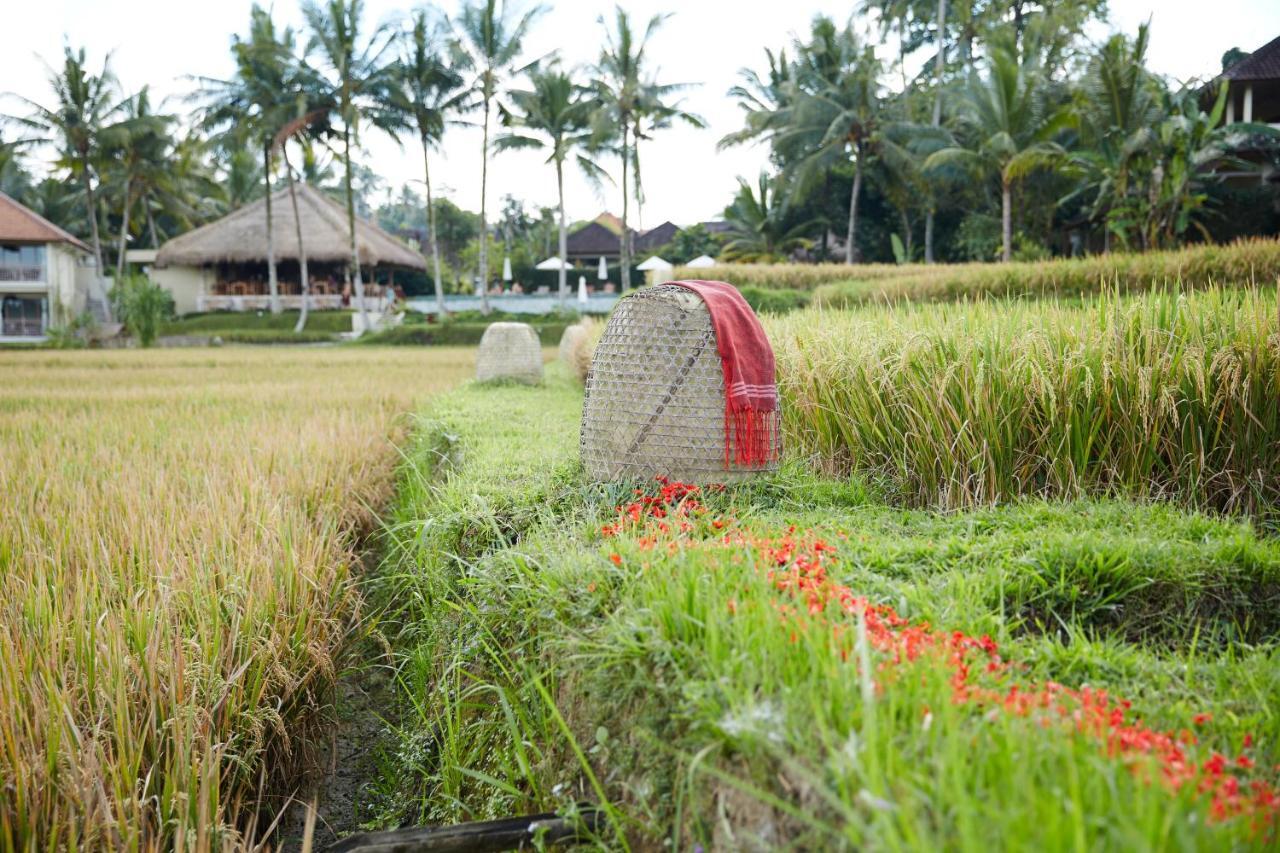 Mathis Retreat Ubud Exterior foto